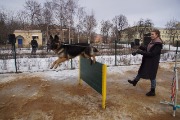 DSC00370.JPG
